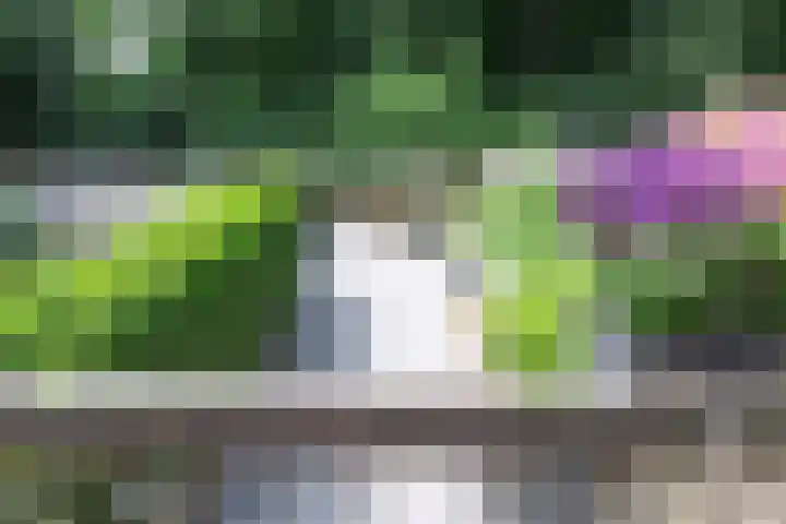 Nooit Gedacht 84 Muiden thumbnail 37