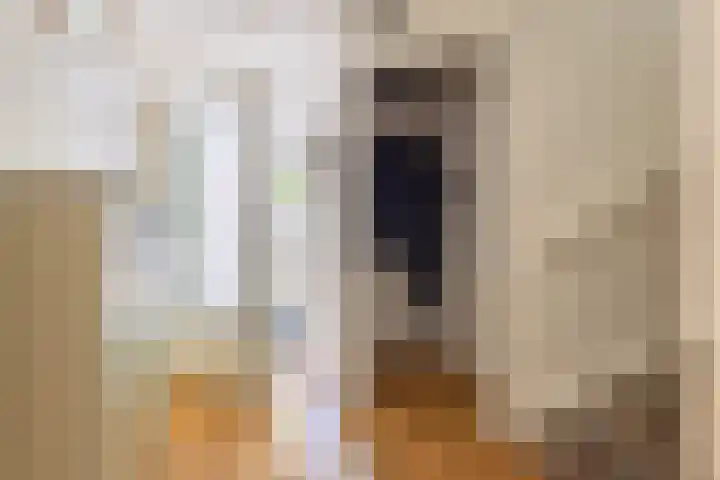 Nooit Gedacht 84 Muiden thumbnail 5