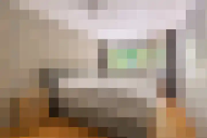 Nooit Gedacht 84 Muiden thumbnail 7