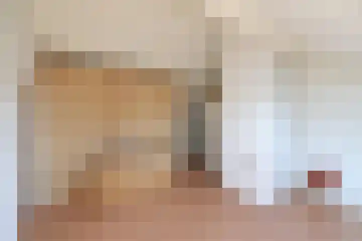 Nooit Gedacht 91 A Muiden thumbnail 12