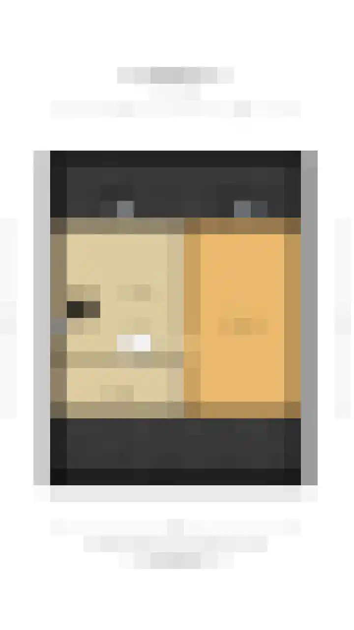Nooit Gedacht 91 A Muiden thumbnail 17