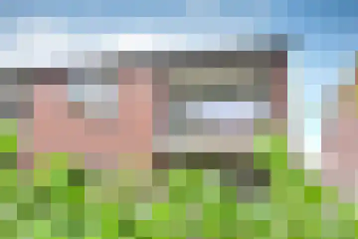 Nooit Gedacht 91 A Muiden thumbnail 18