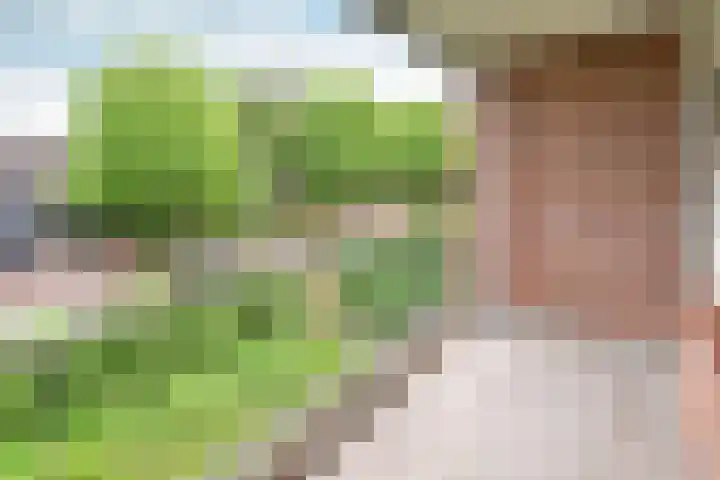 Nooit Gedacht 91 A Muiden thumbnail 5