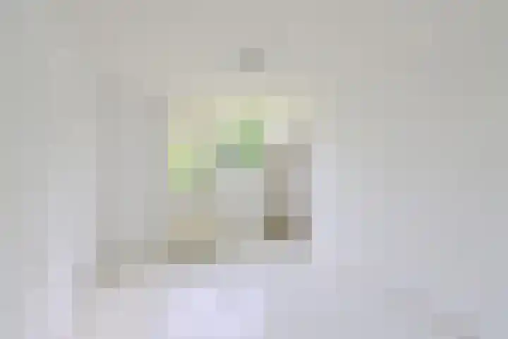 Nooit Gedacht 91 A Muiden thumbnail 6