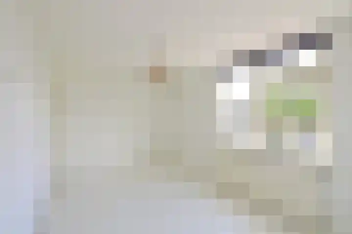 Nooit Gedacht 91 A Muiden thumbnail 8
