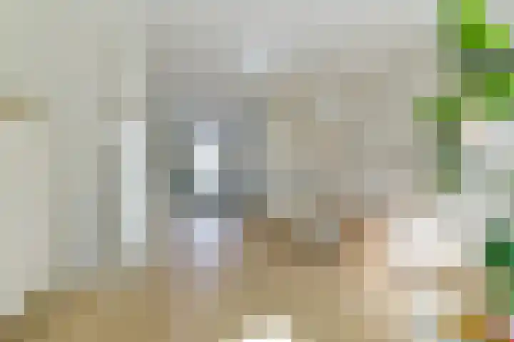Nooitgedacht 10 Zeist thumbnail 11