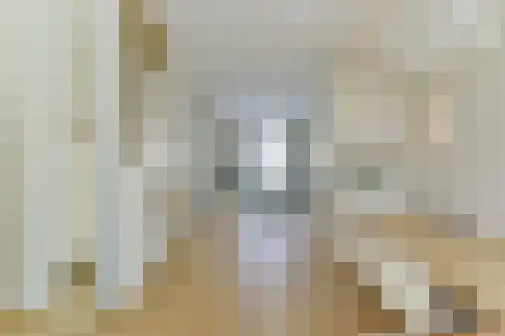 Nooitgedacht 10 Zeist thumbnail 12