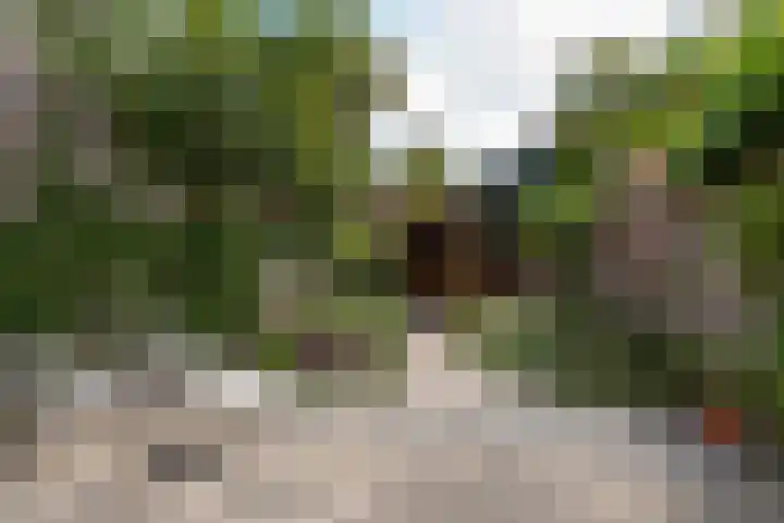 Nooitgedacht 10 Zeist thumbnail 15