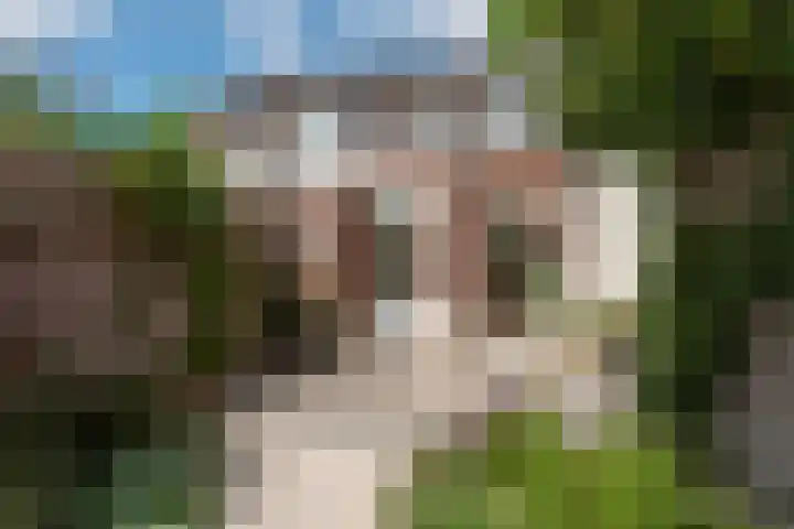 Nooitgedacht 10 Zeist thumbnail 16