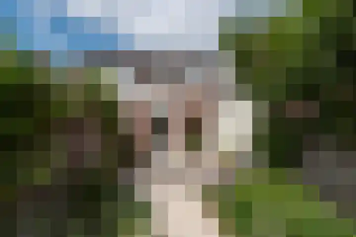 Nooitgedacht 10 Zeist thumbnail 17