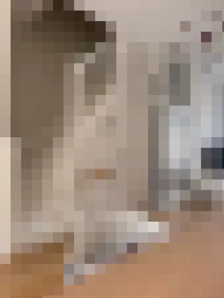 Nooitgedacht 10 Zeist thumbnail 21