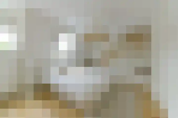 Nooitgedacht 10 Zeist thumbnail 24