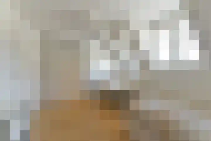 Nooitgedacht 10 Zeist thumbnail 27