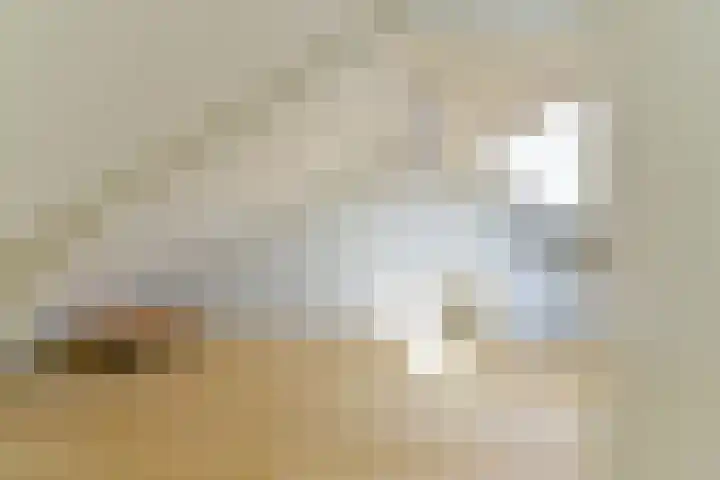 Nooitgedacht 10 Zeist thumbnail 34