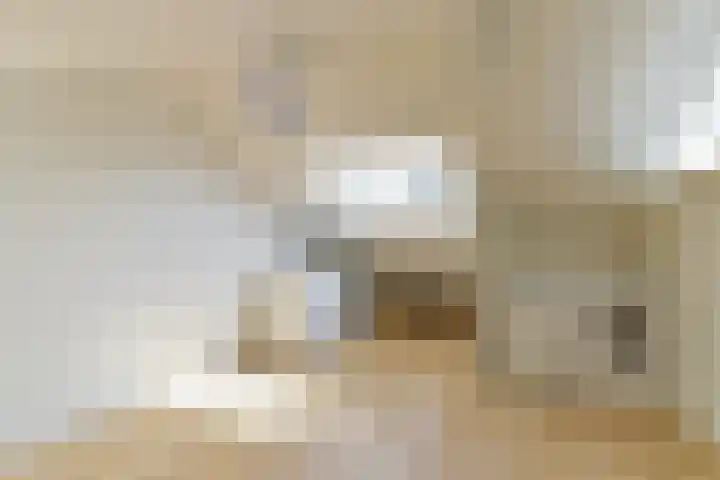 Nooitgedacht 10 Zeist thumbnail 36