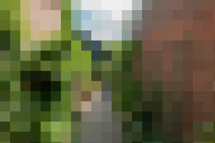 Nooitgedacht 10 Zeist thumbnail 37