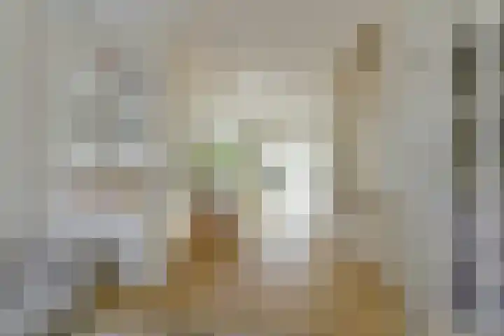 Nooitgedacht 10 Zeist thumbnail 7