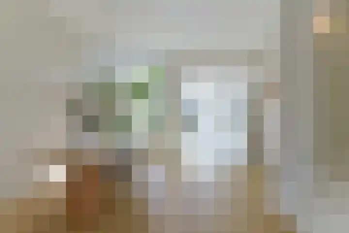Nooitgedacht 10 Zeist thumbnail 8