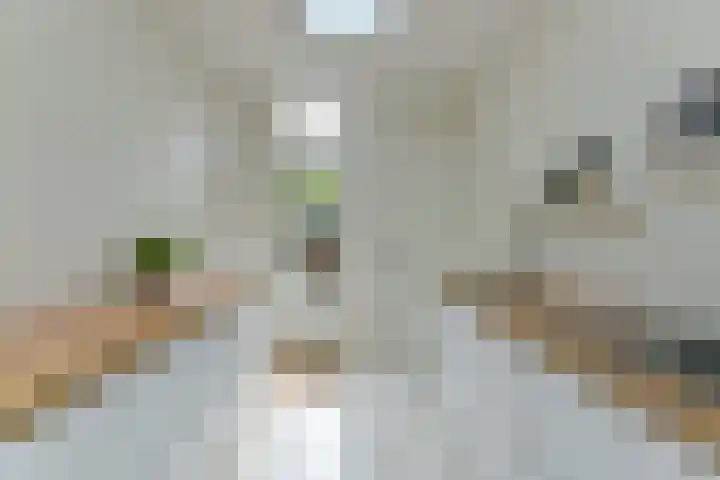 Nooitgedacht 10 Zeist thumbnail 9