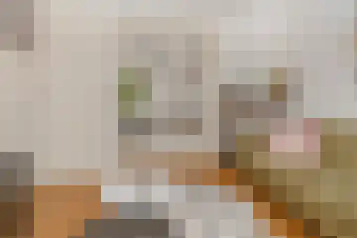 Nooitgedacht 23 Zeist thumbnail 11