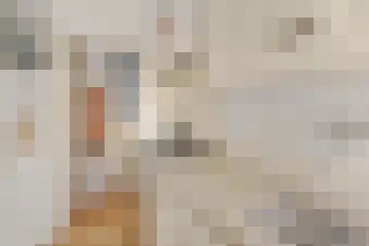 Nooitgedacht 23 Zeist thumbnail 16