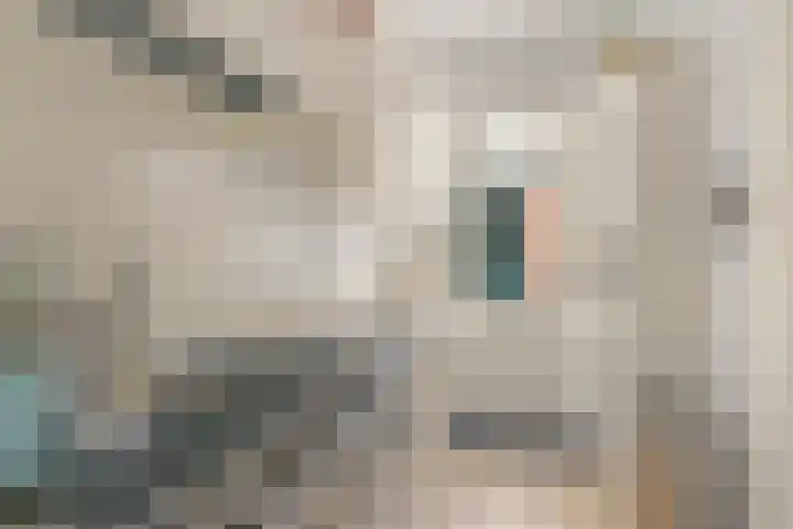 Nooitgedacht 23 Zeist thumbnail 17