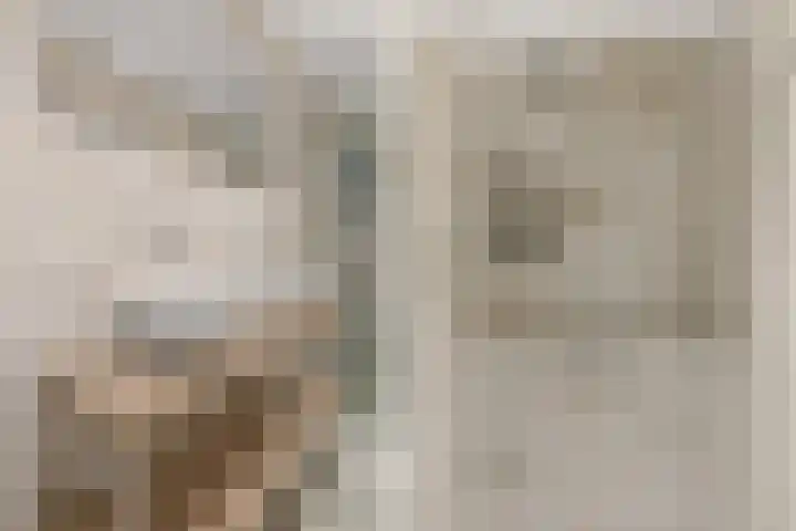 Nooitgedacht 23 Zeist thumbnail 25