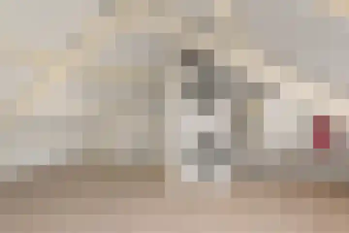 Nooitgedacht 23 Zeist thumbnail 31