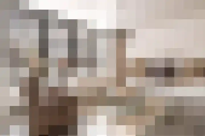 Nooitgedacht 3 Zeist thumbnail 14