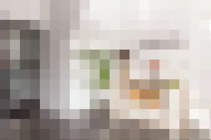 Nooitgedacht 3 Zeist thumbnail 22