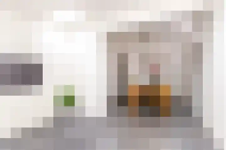 Nooitgedacht 3 Zeist thumbnail 29