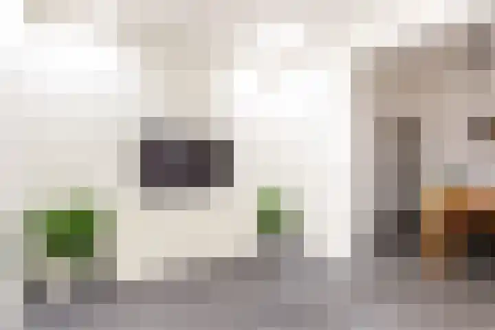 Nooitgedacht 3 Zeist thumbnail 31