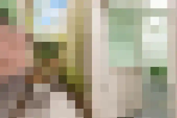Nooitgedacht 3 Zeist thumbnail 42