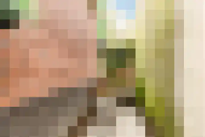 Nooitgedacht 3 Zeist thumbnail 44