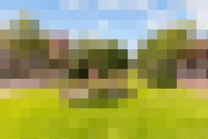 Nooitgedacht 3 Zeist thumbnail 48