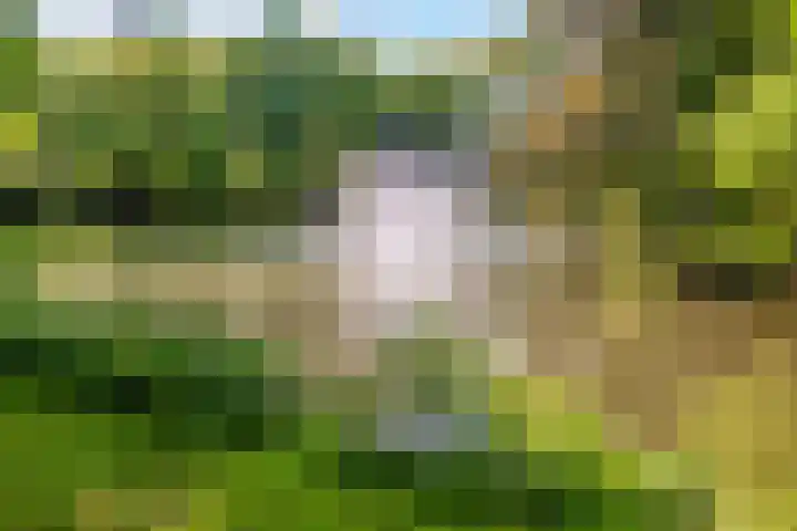 Nooitgedacht 3 Zeist thumbnail 49