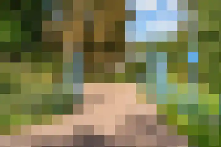 Nooitgedacht 3 Zeist thumbnail 53