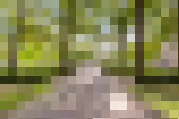 Nooitgedacht 3 Zeist thumbnail 54