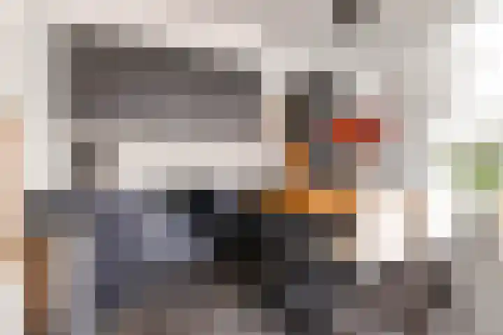 Nooitgedacht 3 Zeist thumbnail 9
