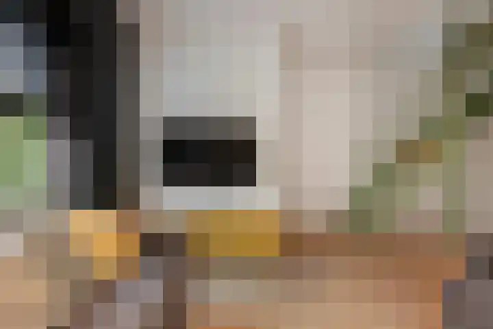 Nooitgedacht 35 Zeist thumbnail 16