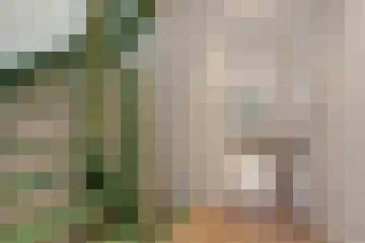 Nooitgedacht 35 Zeist thumbnail 17