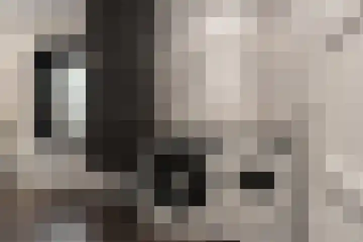Nooitgedacht 35 Zeist thumbnail 22