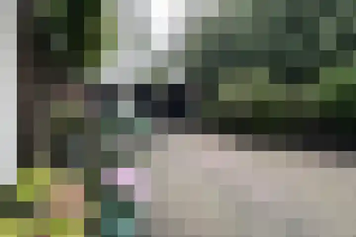 Nooitgedacht 35 Zeist thumbnail 31