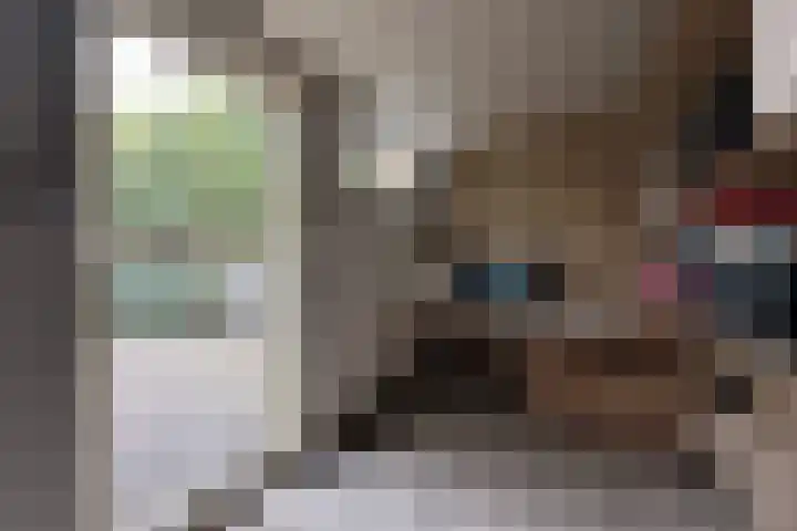 Nooitgedacht 35 Zeist thumbnail 34