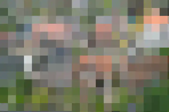 Nooitgedacht 35 Zeist thumbnail 37