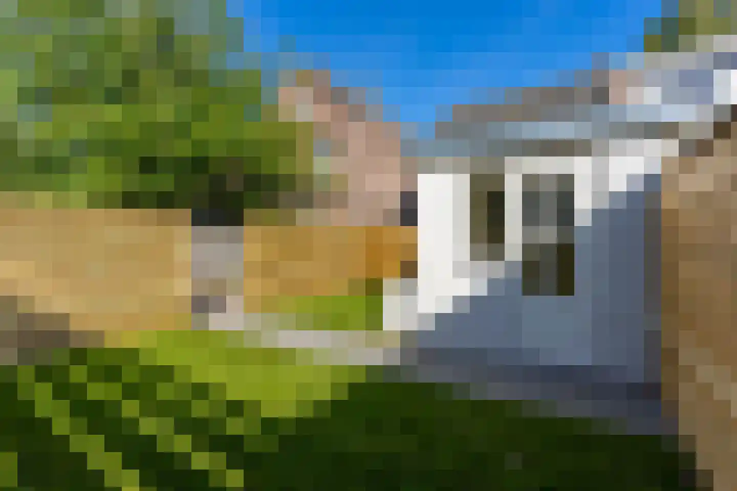 Nooitgedacht 60 Zeist thumbnail 18