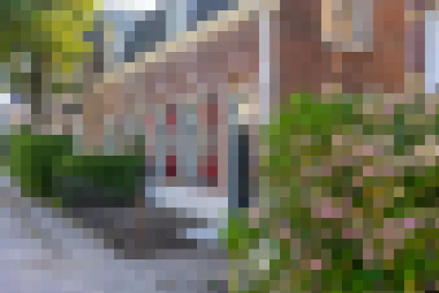 Nooitgedacht 60 Zeist foto 2