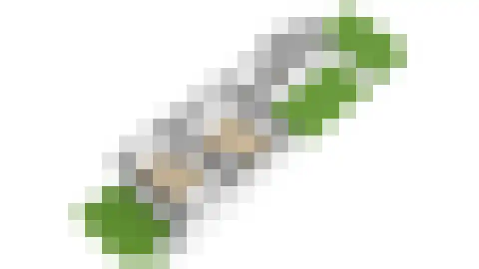 Nooitgedacht 60 Zeist thumbnail 43
