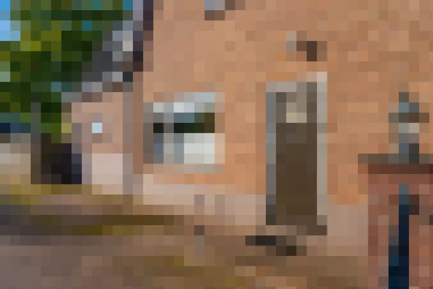 Nooitgedacht 70 Zeist thumbnail 39