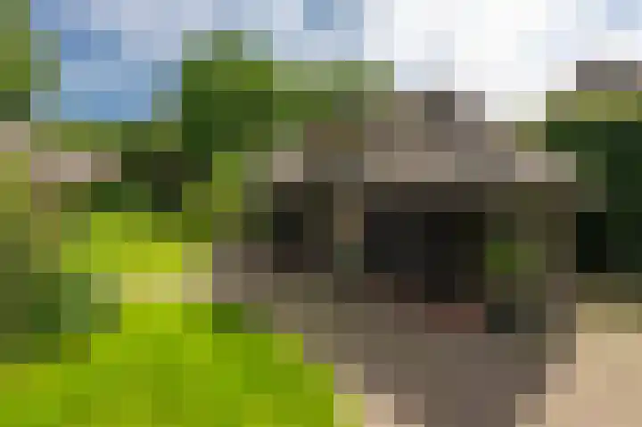 Noolseweg 1 Blaricum thumbnail 19